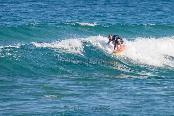 Mona_Vale_211108_173027_0057