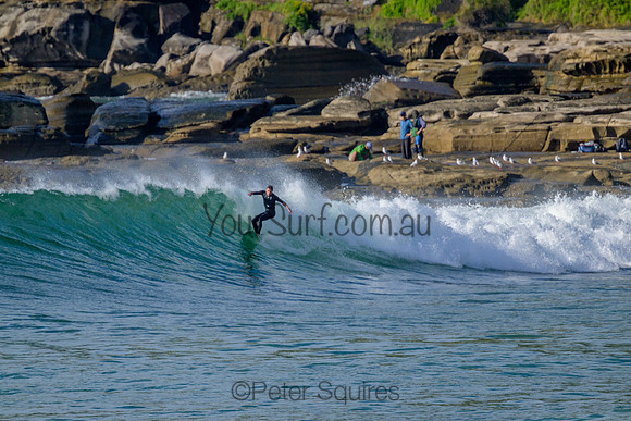 Whale_Beach_220416_082822_0135