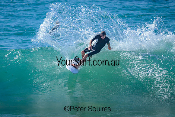 Avalon_240202_095613_0499