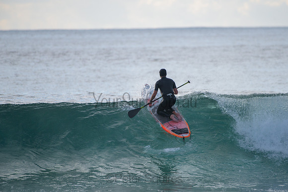 Avalon_211116_065415_0097
