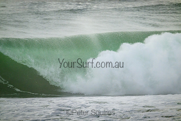 Whale_Beach_220305_081906_0159