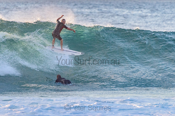 Avalon_211118_061058_0004