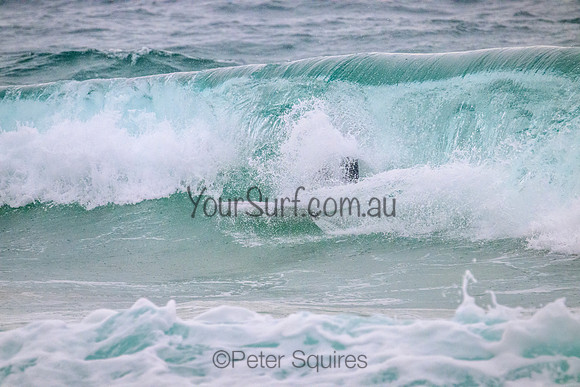 Warriewood_220222_115310_0168