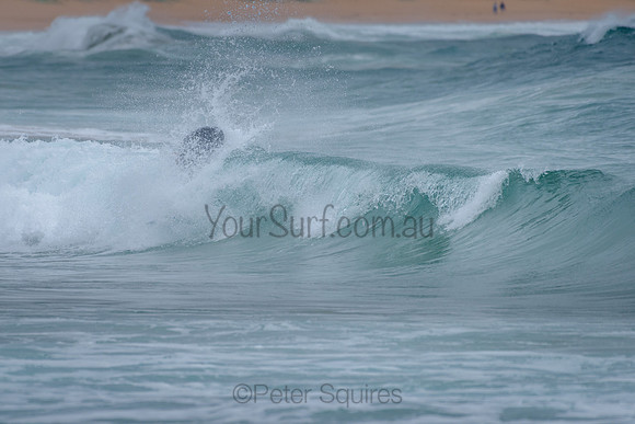 Palm_Beach_211122_092043_0129
