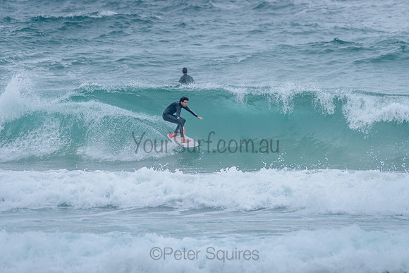 Whale_Beach_211125_082203_0292