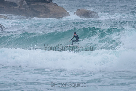 Whale_Beach_211125_083914_0321