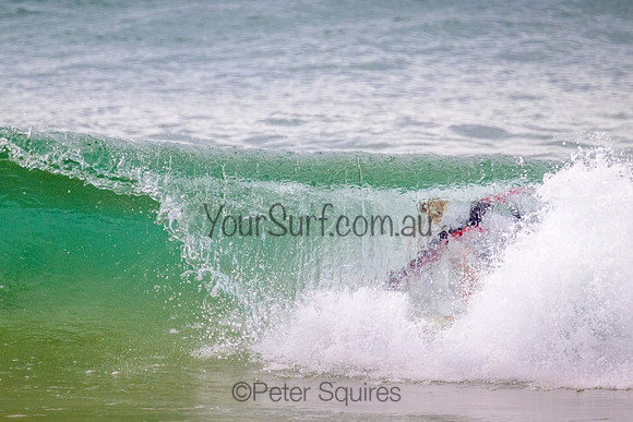 Whale_Beach_220325_093342_0186
