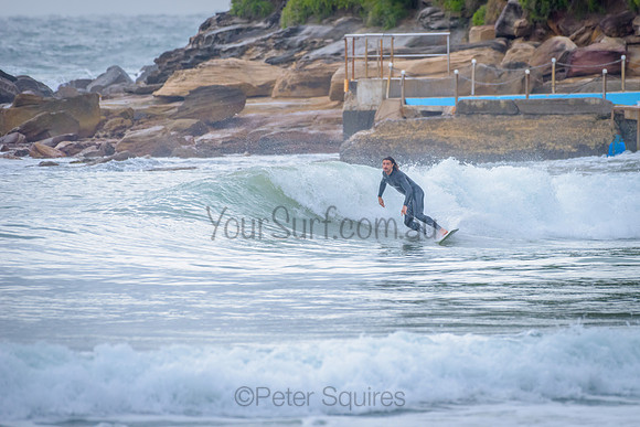 Palm_Beach_211128_080238_0107