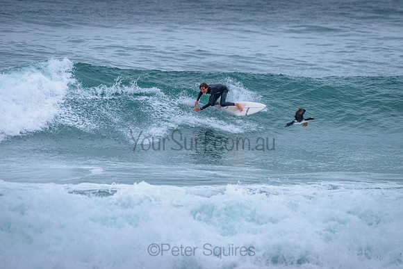 Mona_Vale_211130_071700_0027