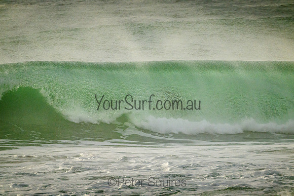 Whale_Beach_220305_080302_0028