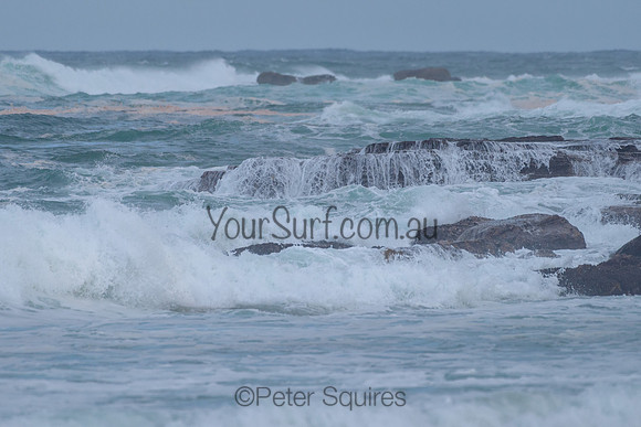 Warriewood_211211_184926_0126
