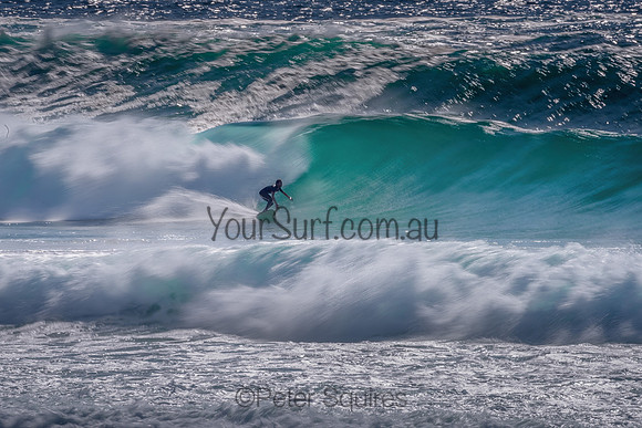 Avalon_211213_085608_0081-Edit