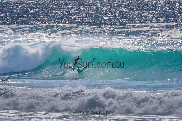 Avalon_211213_085618_0093-Edit