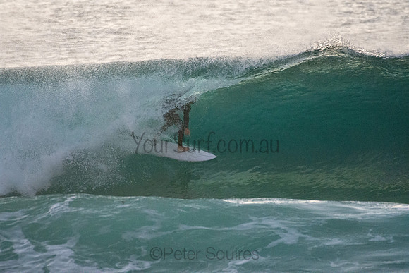 Whale Beach 5//6/20