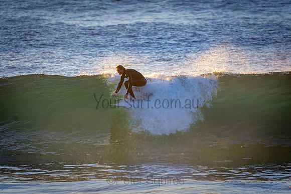 Whale Beach 5//6/20