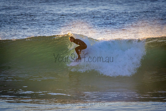 Whale Beach 5//6/20