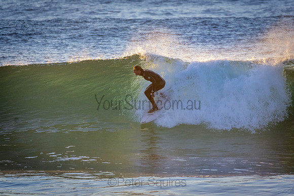 Whale Beach 5//6/20