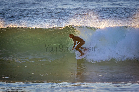 Whale Beach 5//6/20