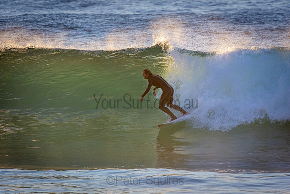 Whale Beach 5//6/20
