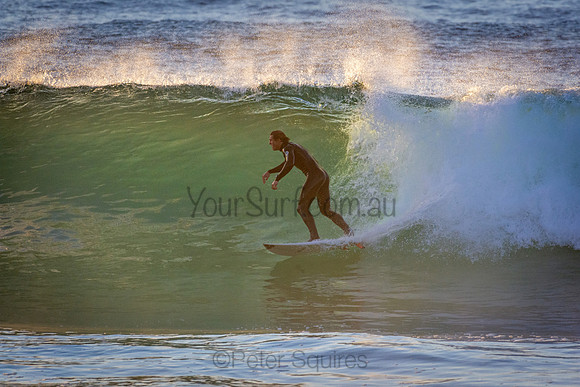 Whale Beach 5//6/20