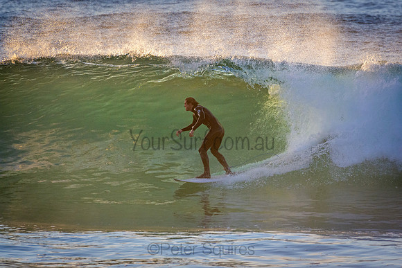 Whale Beach 5//6/20