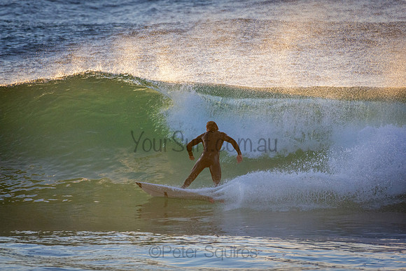 Whale Beach 5//6/20