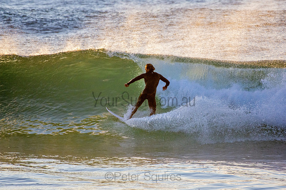 Whale Beach 5//6/20