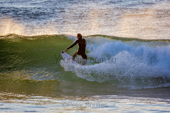 Whale Beach 5//6/20