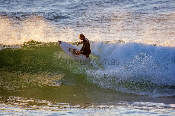 Whale Beach 5//6/20