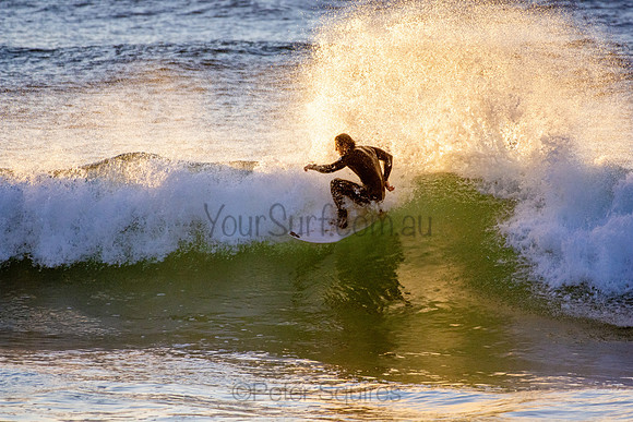 Whale Beach 5//6/20