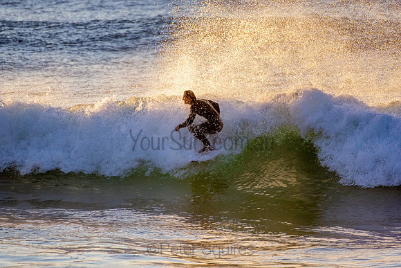 Whale Beach 5//6/20