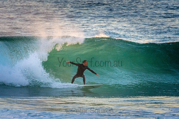 Whale Beach 5//6/20