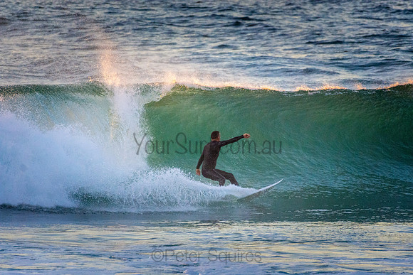 Whale Beach 5//6/20