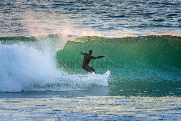 Whale Beach 5//6/20