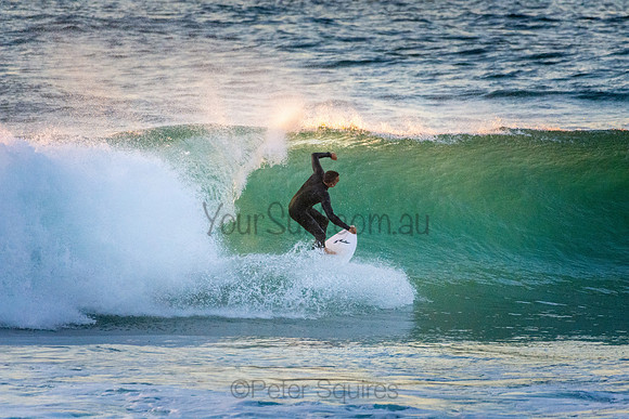 Whale Beach 5//6/20