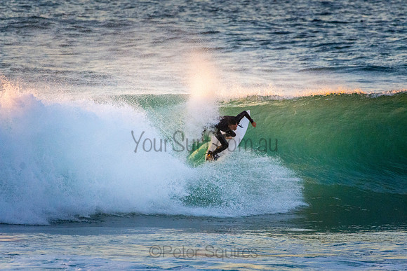 Whale Beach 5//6/20