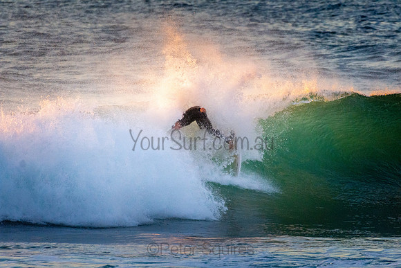 Whale Beach 5//6/20