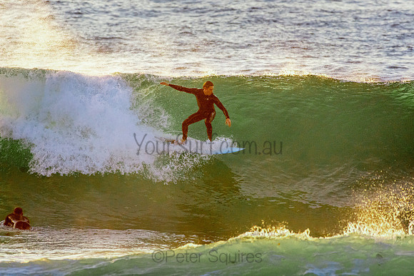 Whale Beach 5//6/20