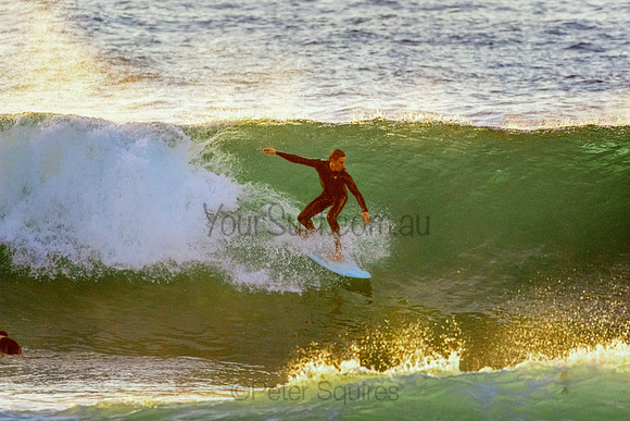 Whale Beach 5//6/20
