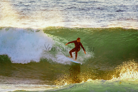 Whale Beach 5//6/20