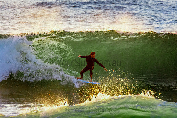 Whale Beach 5//6/20