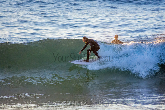 Whale Beach 5//6/20