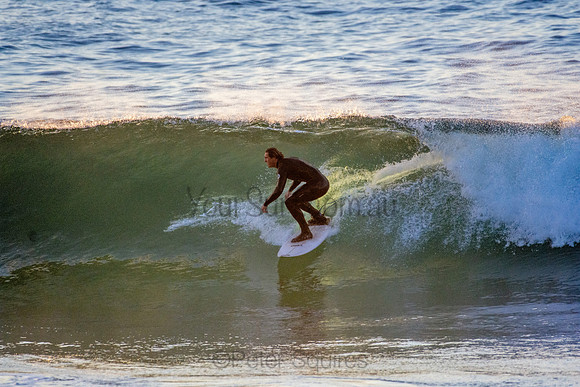 Whale Beach 5//6/20