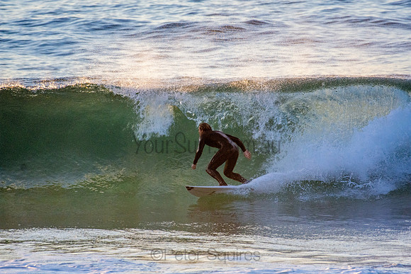 Whale Beach 5//6/20
