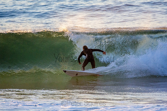 Whale Beach 5//6/20