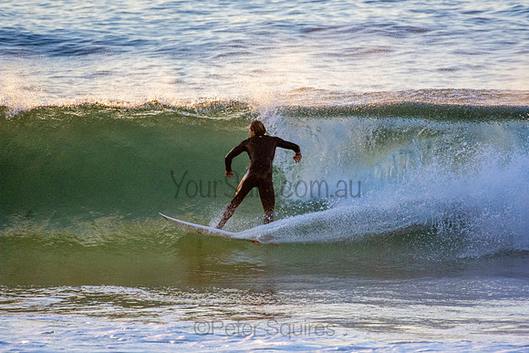 Whale Beach 5//6/20