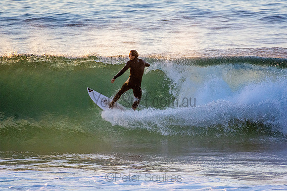 Whale Beach 5//6/20