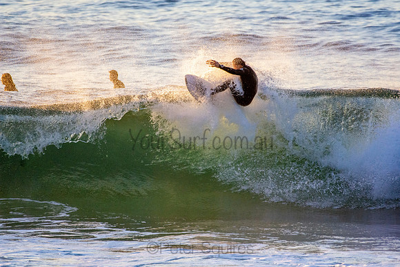 Whale Beach 5//6/20