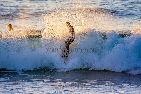 Whale Beach 5//6/20