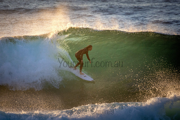 Whale Beach 5//6/20